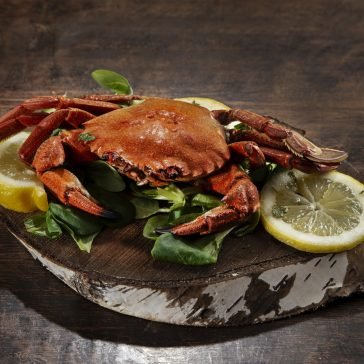 Best seafood restaurant